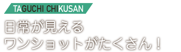 日常が見えるワンショットがたくさん！