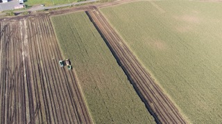 デントコーン収穫、ドローン映像
