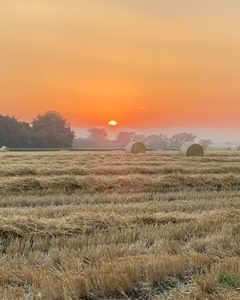麦稈作業中の一コマ。夕日がきれい。